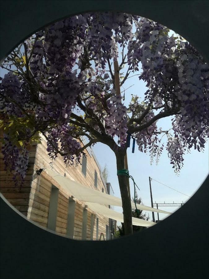 Via Dei Dori B&B Мирано Экстерьер фото